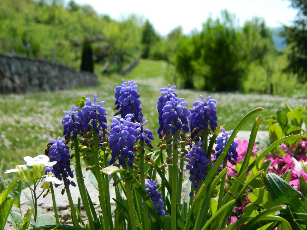 Nektar Park Tatil Evi Bihać