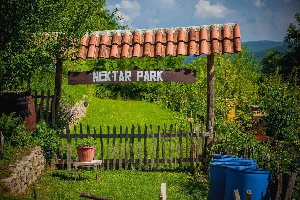 Nektar Park Tatil Evi