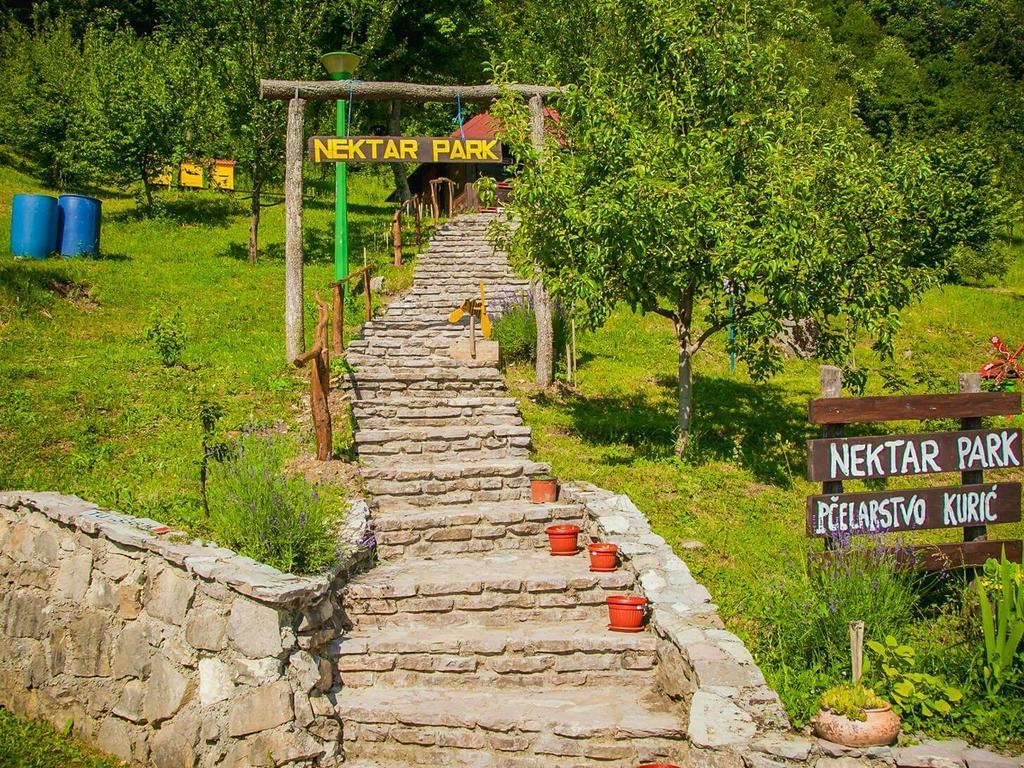 Tatil Evi Nektar Park *