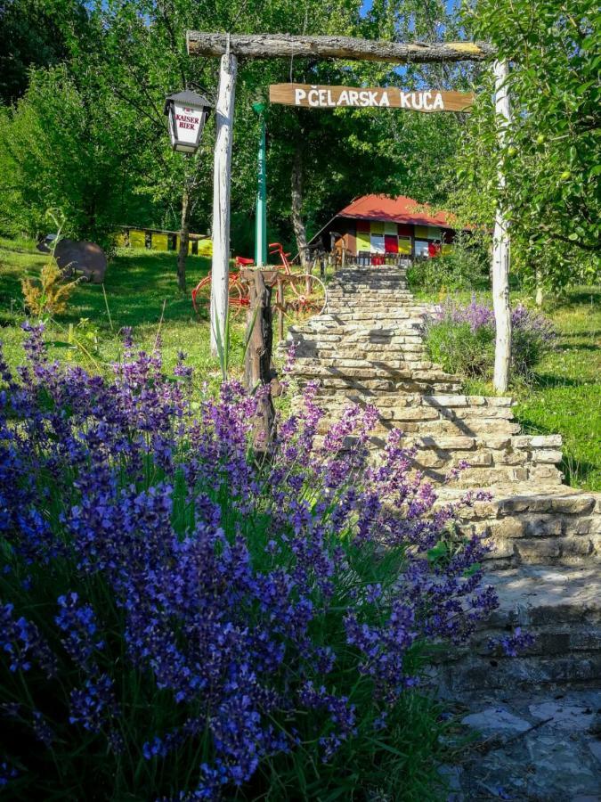 Nektar Park Tatil Evi