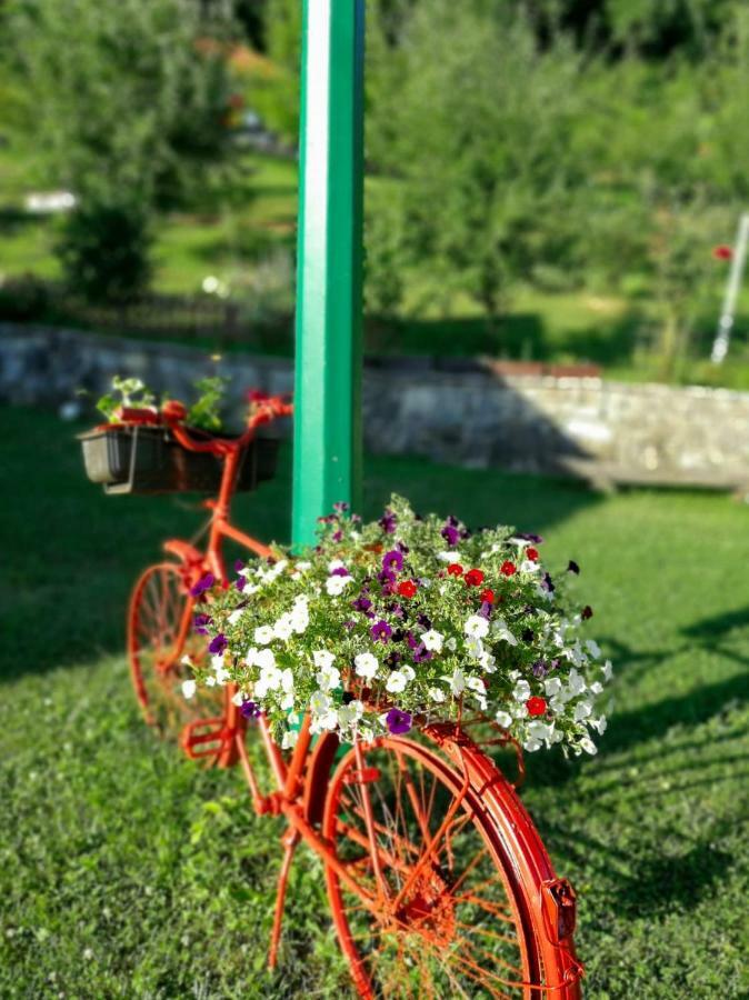 Tatil Evi Nektar Park Bihać